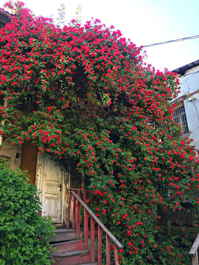 Apartment In Cozy Little Yard Tbilisi Esterno foto